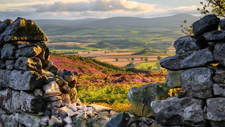 The Government has unveiled how it plans to leave the environment in a better state